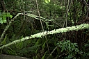 crw_3514.jpg