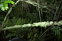 crw_3515.jpg