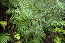crw_3520.jpg