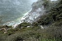 crw_3525.jpg