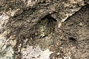 crw_3528.jpg