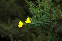 crw_3534.jpg