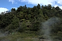 crw_3542.jpg