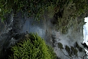 crw_3545.jpg