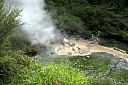 crw_3554.jpg