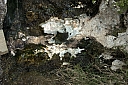 crw_3564.jpg