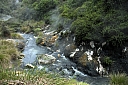 crw_3567.jpg