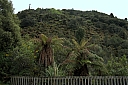 crw_3568.jpg
