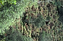 crw_3572.jpg