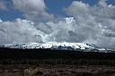 crw_3576.jpg