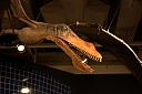 crw_3583.jpg