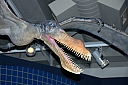crw_3584.jpg