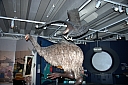 crw_3585.jpg