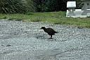 crw_3614.jpg