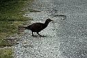 crw_3618.jpg