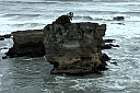 crw_3619.jpg