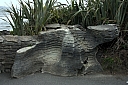 crw_3625.jpg