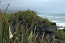 crw_3628.jpg