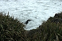 crw_3632.jpg