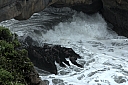 crw_3648.jpg