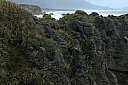 crw_3650.jpg