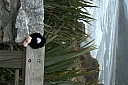 crw_3657.jpg