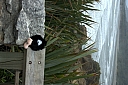 crw_3658.jpg