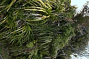 crw_3659.jpg