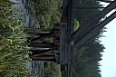 crw_3667.jpg
