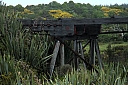 crw_3670.jpg