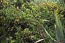 crw_3673.jpg