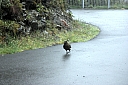 crw_3681.jpg