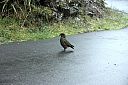 crw_3682.jpg