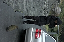 crw_3685.jpg