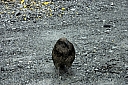 crw_3688.jpg