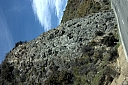 crw_3700.jpg