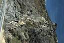 crw_3702.jpg