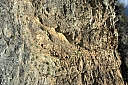 crw_3704.jpg
