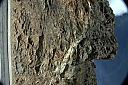 crw_3705.jpg
