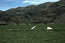 crw_3707.jpg