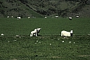 crw_3708.jpg