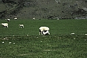 crw_3709.jpg