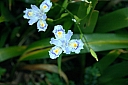 crw_3721.jpg