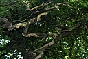 crw_3722.jpg
