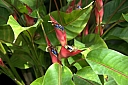 crw_3723.jpg