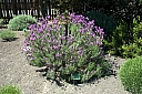 crw_3724.jpg