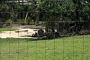 crw_3727.jpg