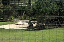crw_3728.jpg