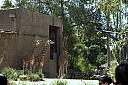 crw_3729.jpg