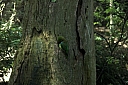 crw_3730.jpg